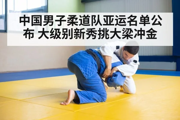 中国男子柔道队亚运名单公布 大级别新秀挑大梁冲金
